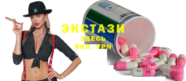 ECSTASY Гусь-Хрустальный