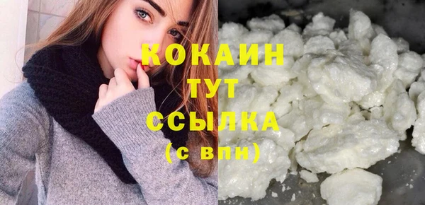 СК Сосновый Бор