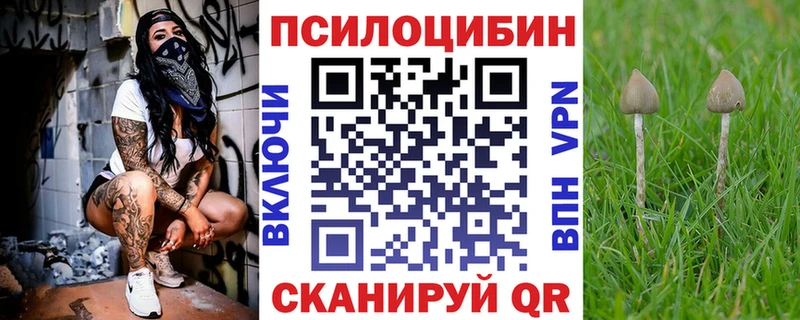 Галлюциногенные грибы ЛСД  цены наркотик  Гвардейск 