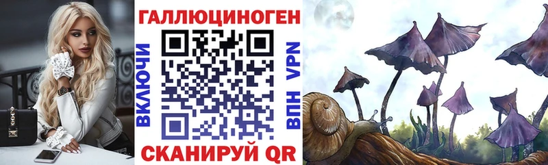 Галлюциногенные грибы Psilocybe Гвардейск